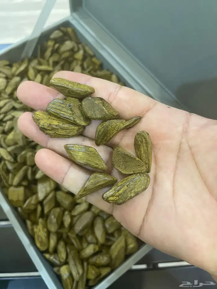 دقة مروكي بيور 1