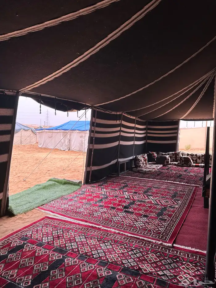 مخيم قسم قسمين شمال الرياض 20