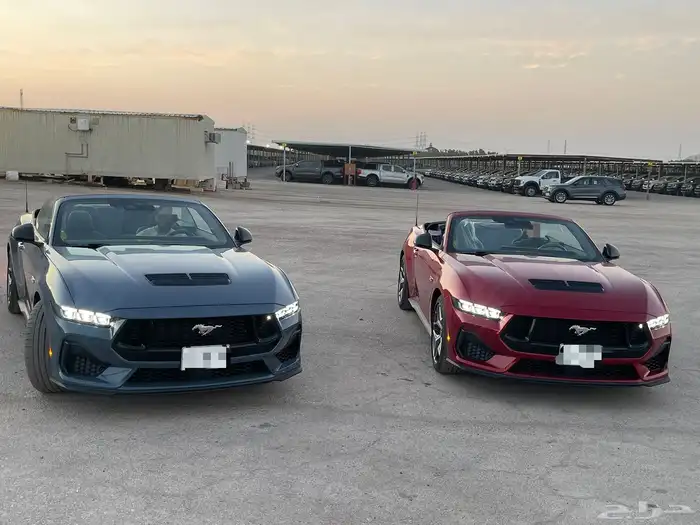 موستنج GT 2024 اصفار للايجار 0