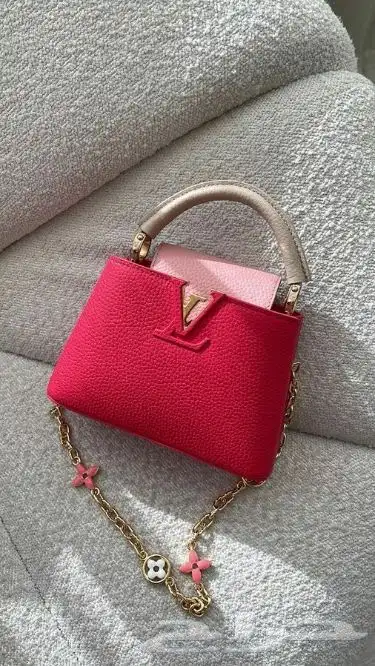 شنط لويس فيتون ماستر 0