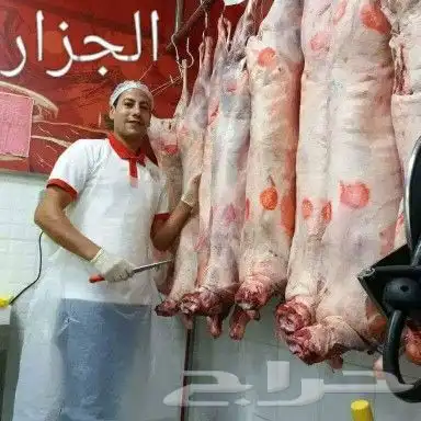 السلام عليكم ورحمة الله موجود جزار مصري بلدي وافرانجي معايا 4
