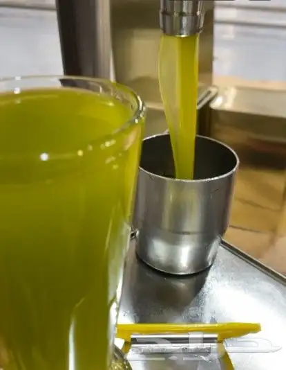 اول عصرة زيت زيتون الجوف 1