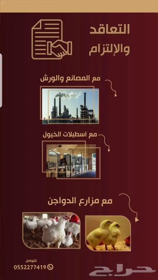 يتوفر نشارة مصانع وخيول ودواجن 6
