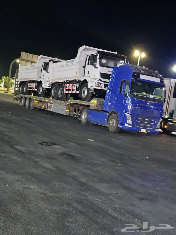 لوبد في طريف 0