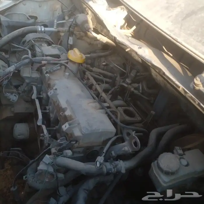 رينو فقط كطع قير فقط رينر 41