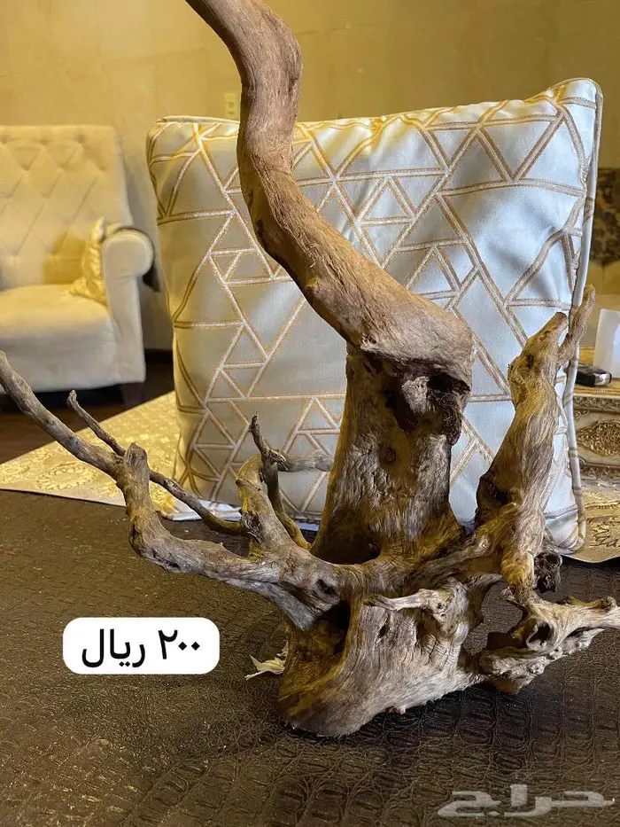 حوض اسماك خاص زجاج 2