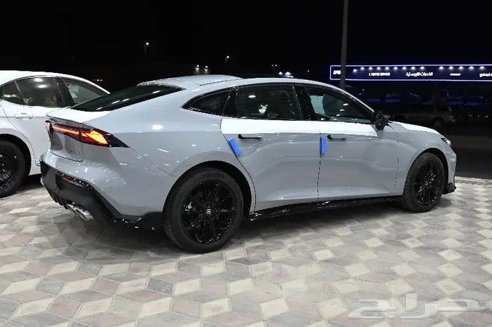 شانجان يونى فى سبورت 2025 2