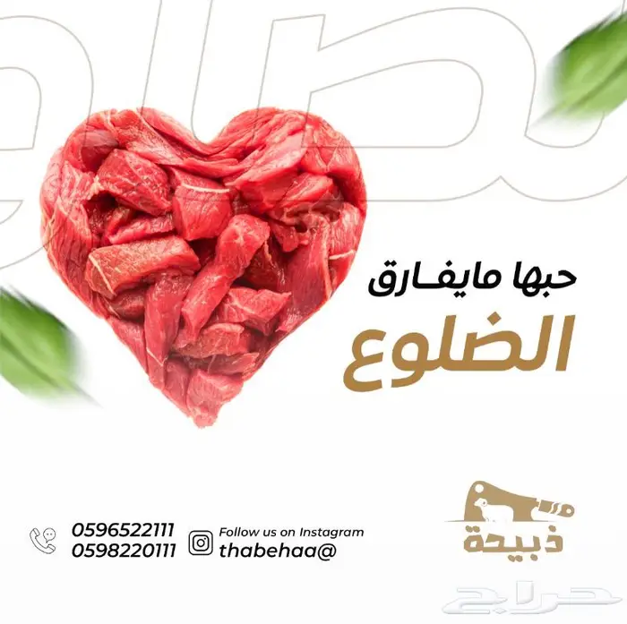 متجر ذبيحة 43