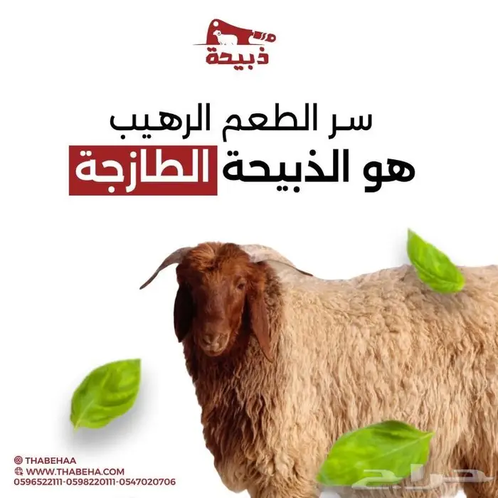 متجر ذبيحة 23