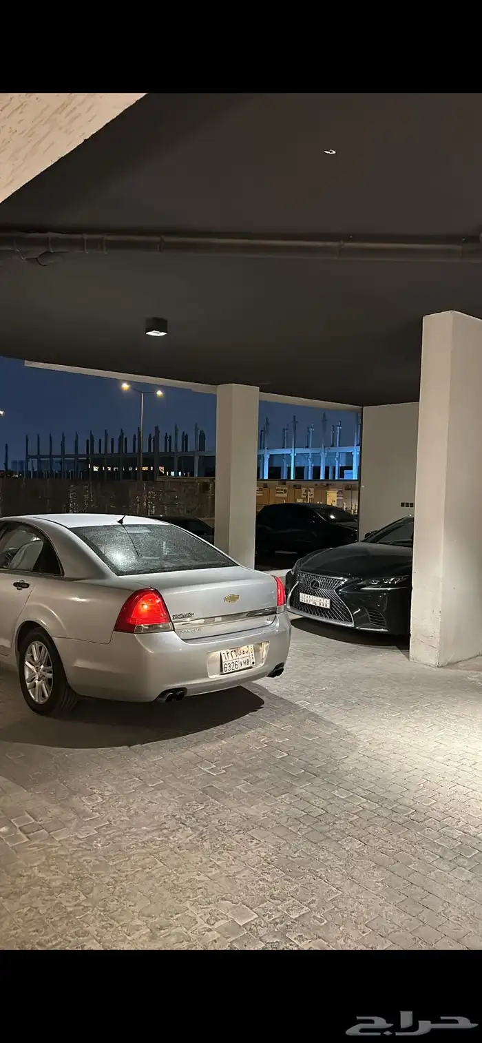 كابرس بودي بلد 0