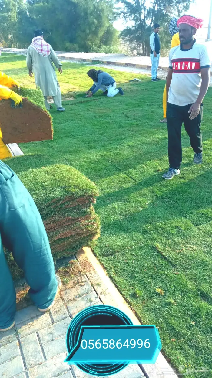 ثيل طبيعي تنسيق حدائق 4