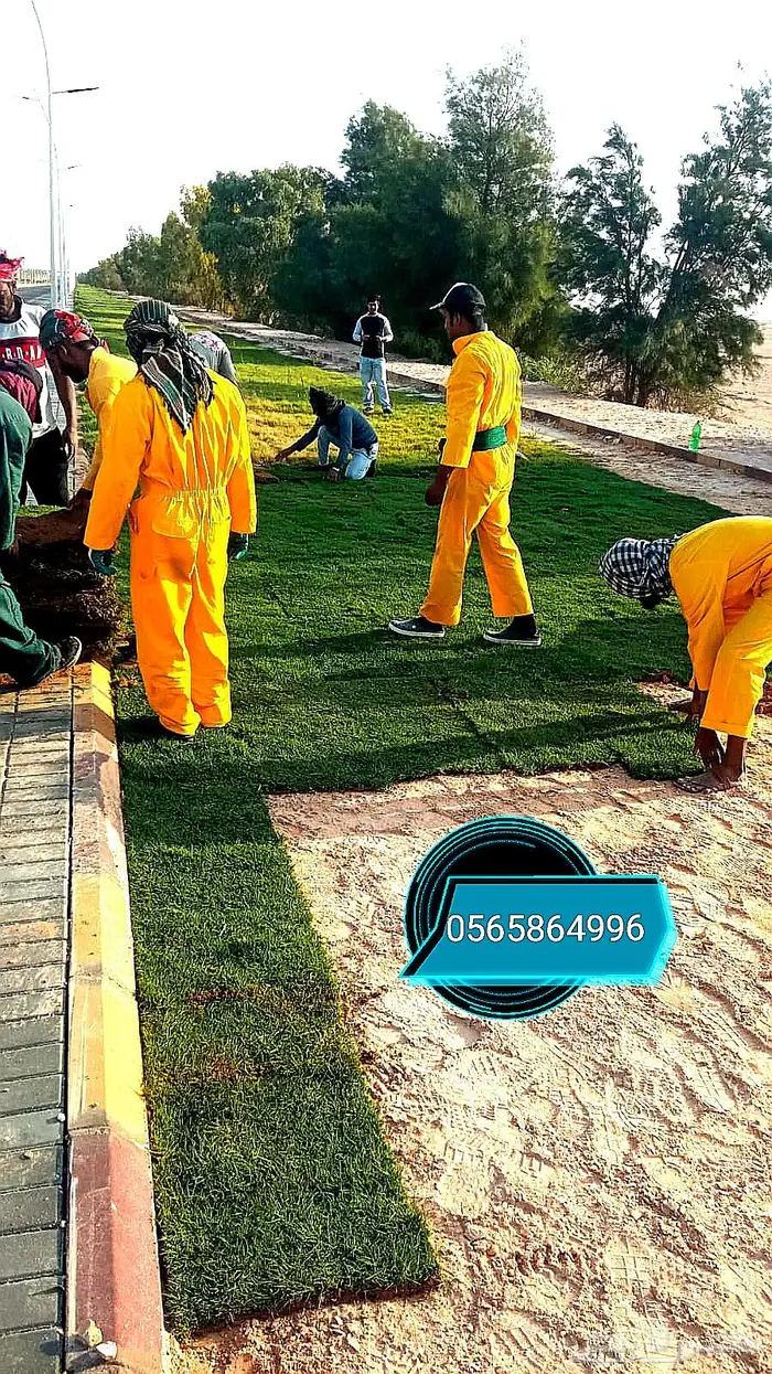 ثيل طبيعي تنسيق حدائق 1