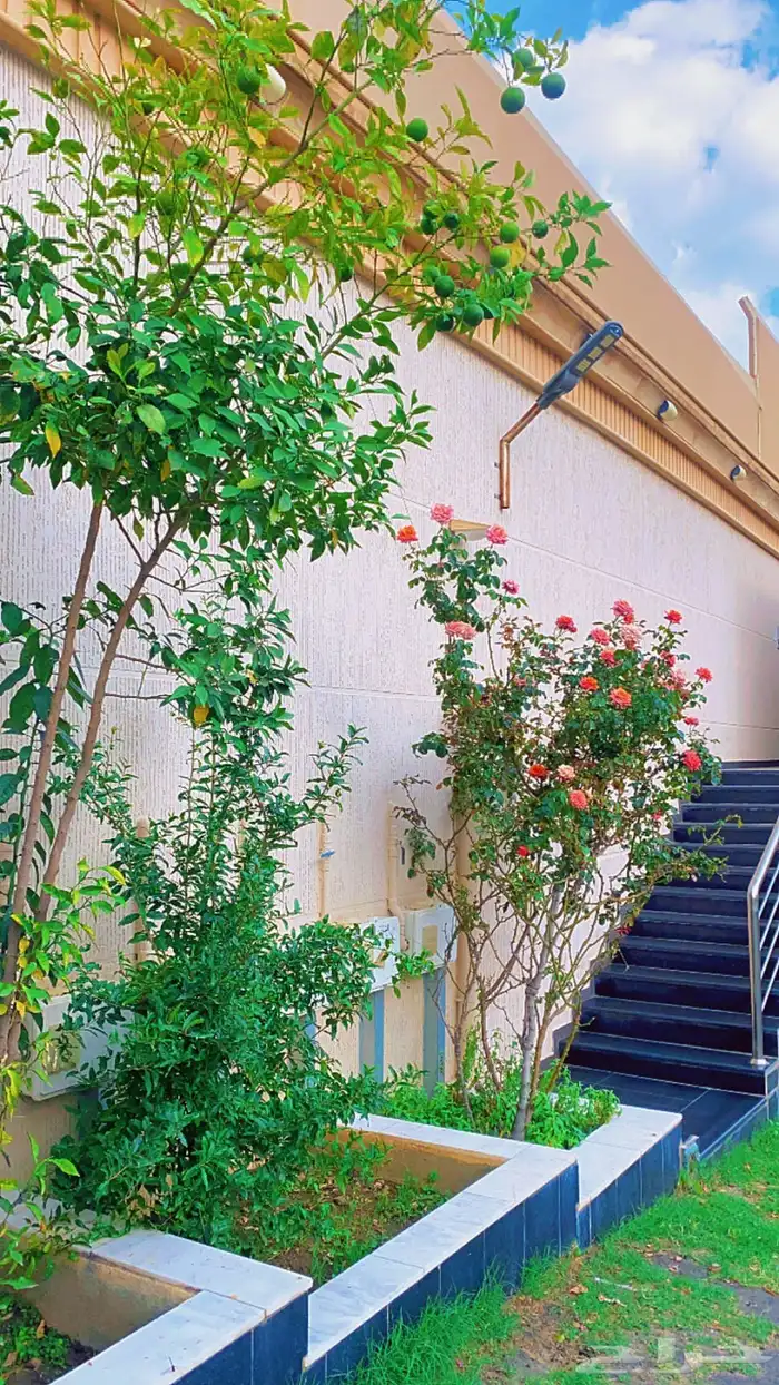 عمارة مكونه من 7شقق وفله للبيع 1