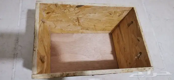 علبة هدايا 5