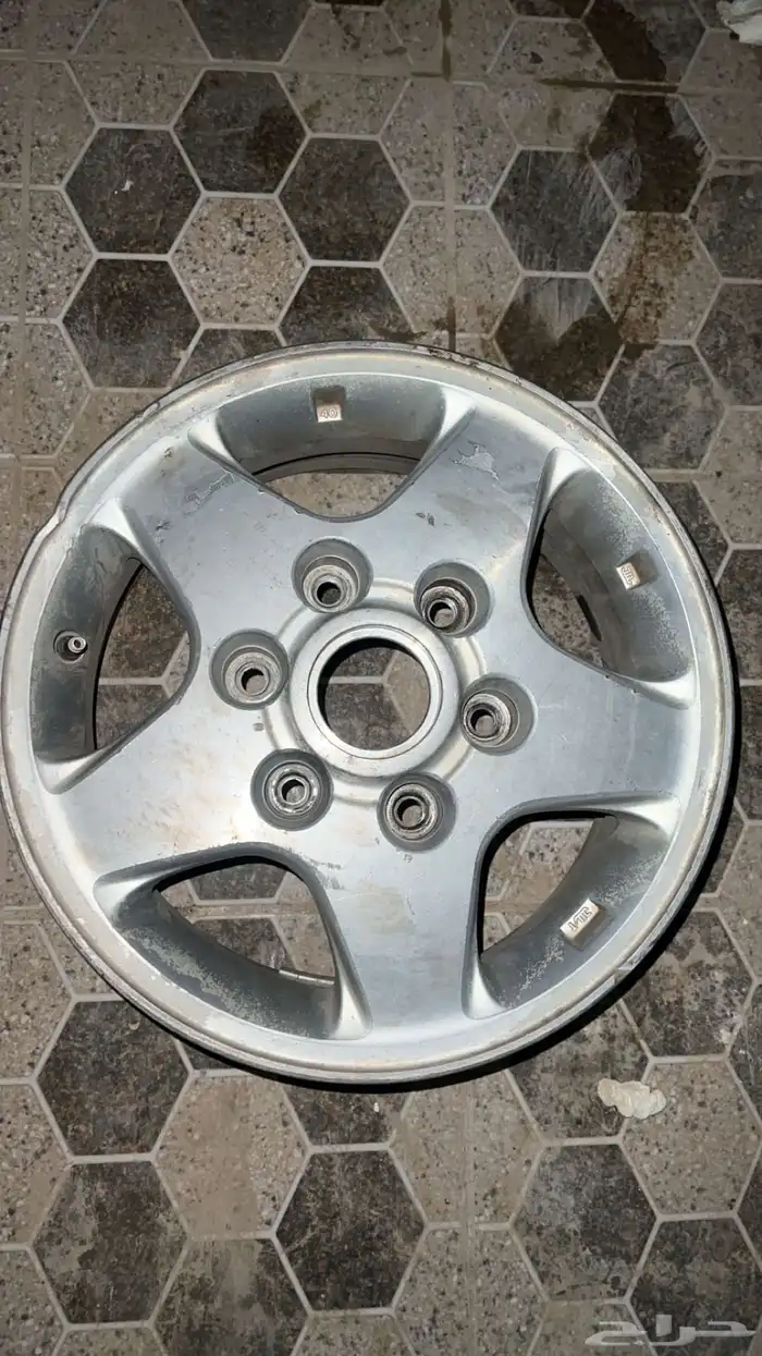 جنوط ددسن نجمه 0