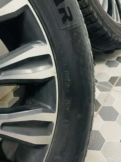 الأحساء 7