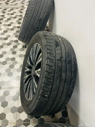 الأحساء 3