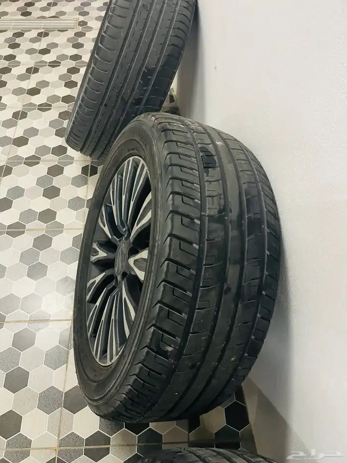 الأحساء 3