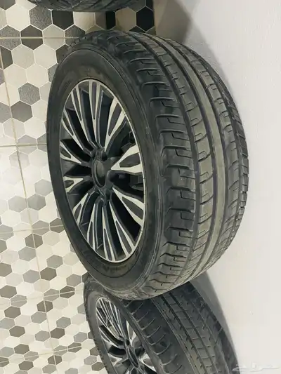 الأحساء 1
