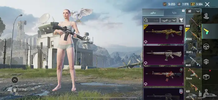 حساب ببجي للبيع مستوى 85 16