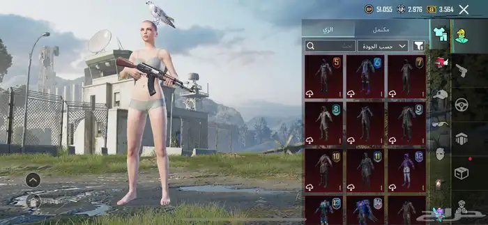 حساب ببجي للبيع مستوى 85 1