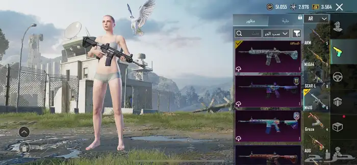 حساب ببجي للبيع مستوى 85 21