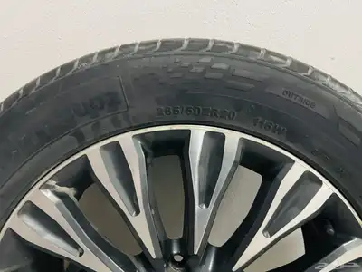 الأحساء 8