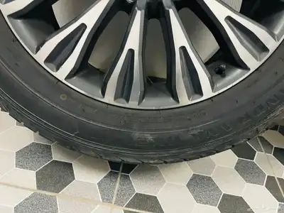 الأحساء 5
