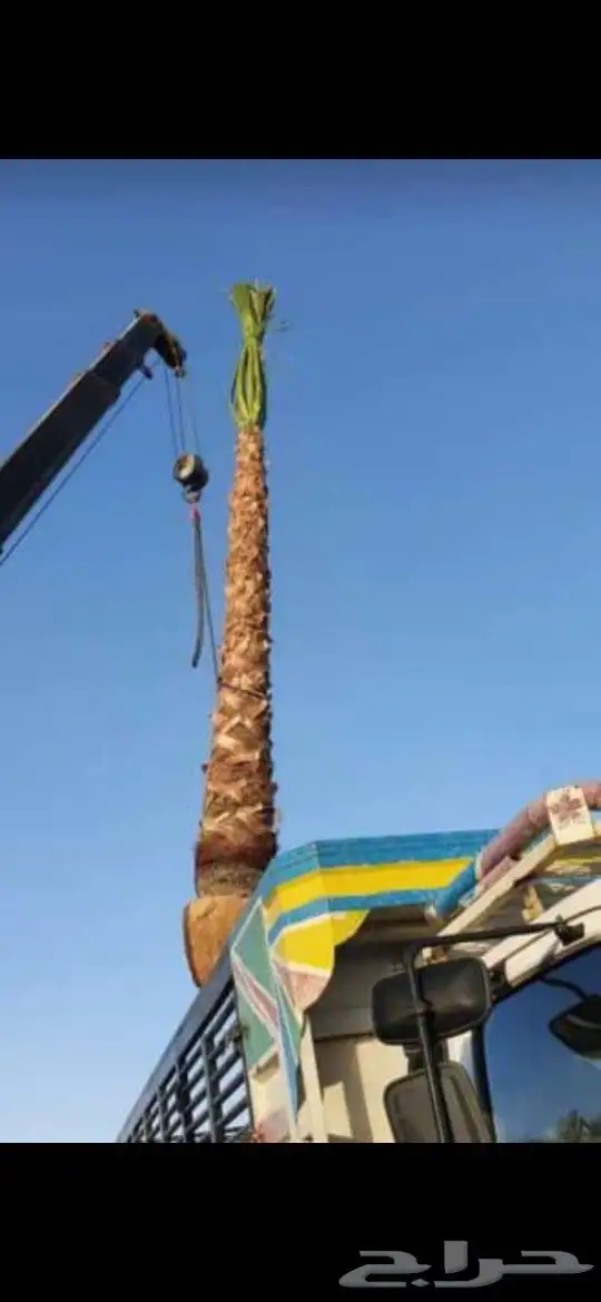 فسايل خلاص درجة اولى 7