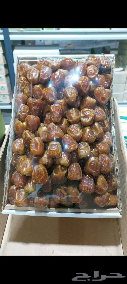 تمور جلكسي وسكري ملكي 3