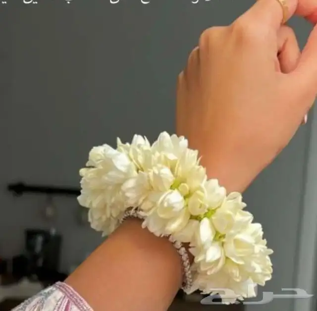 فل ورد الرياض 0