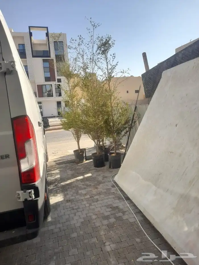 مشتل ابوعبدالله 3