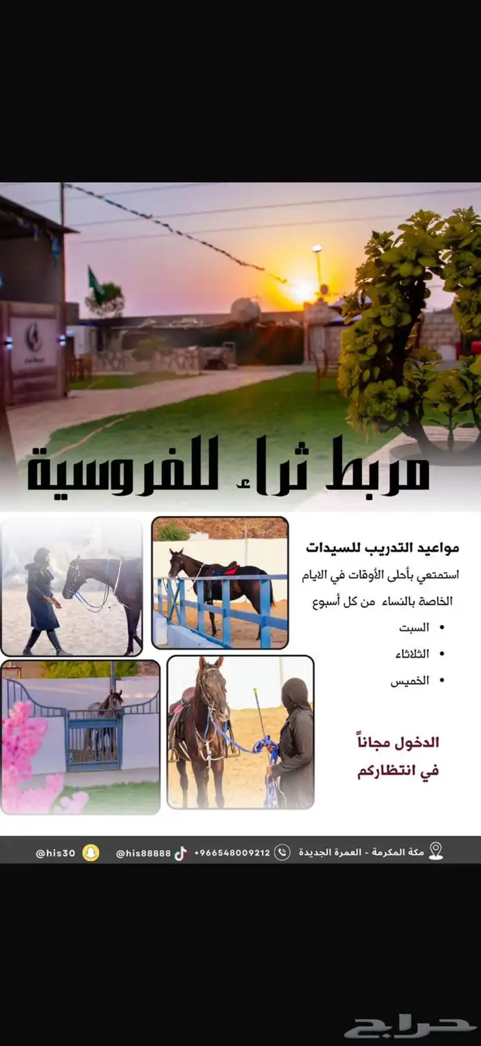 ركوب الخيل وتدريب ورحلات مربط ثراء مكة النوارية 14