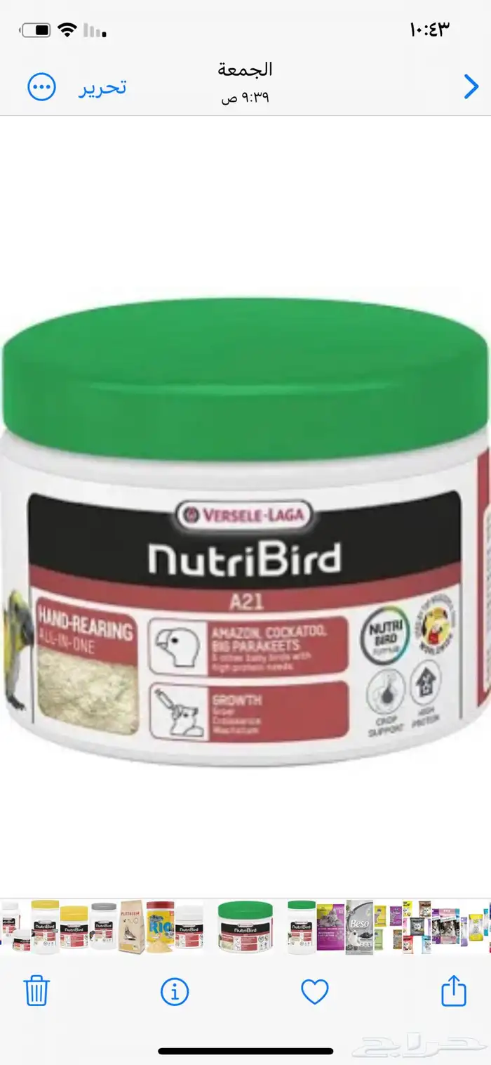 سيريلاك طيور غر اكل صغار الطيور 0