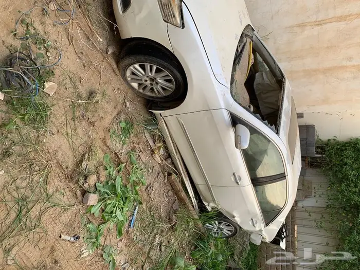 اوريون قراندي 2011 1