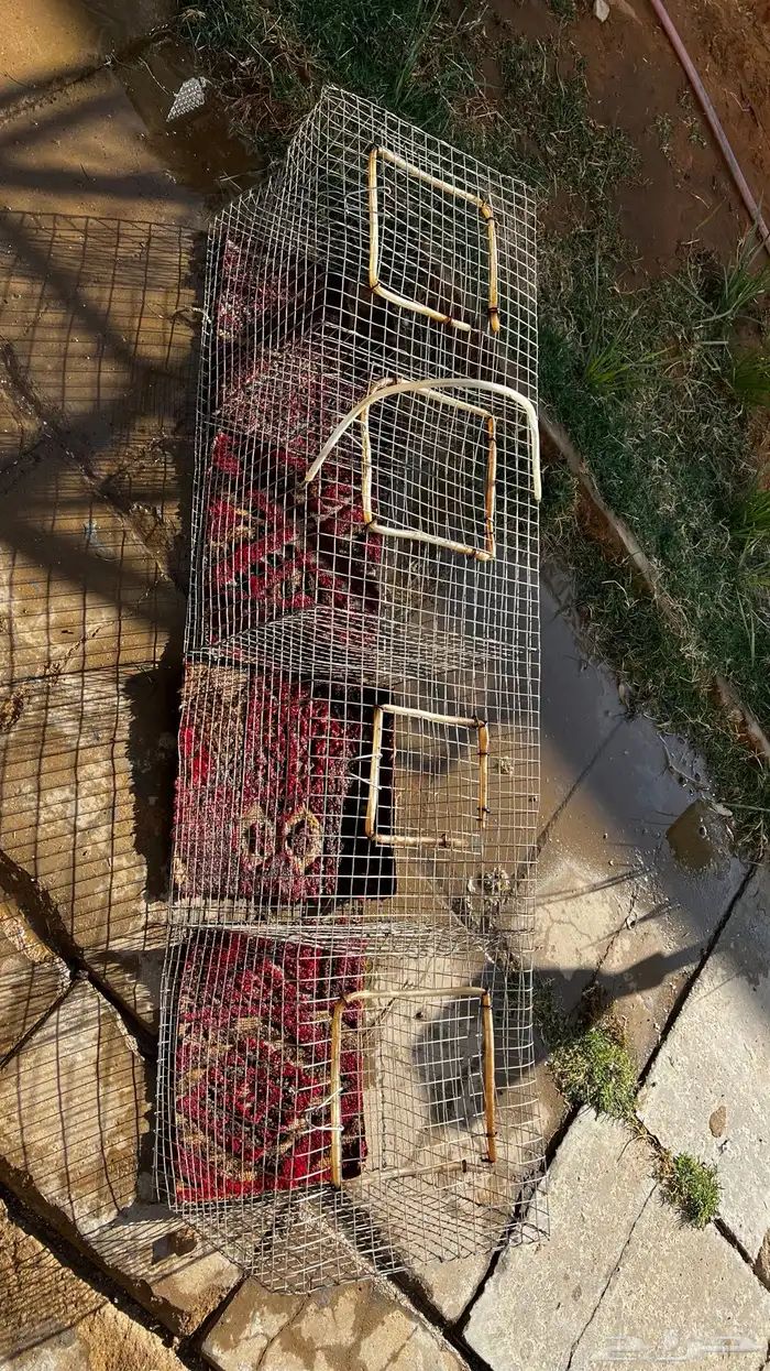 شبك نضيف 2