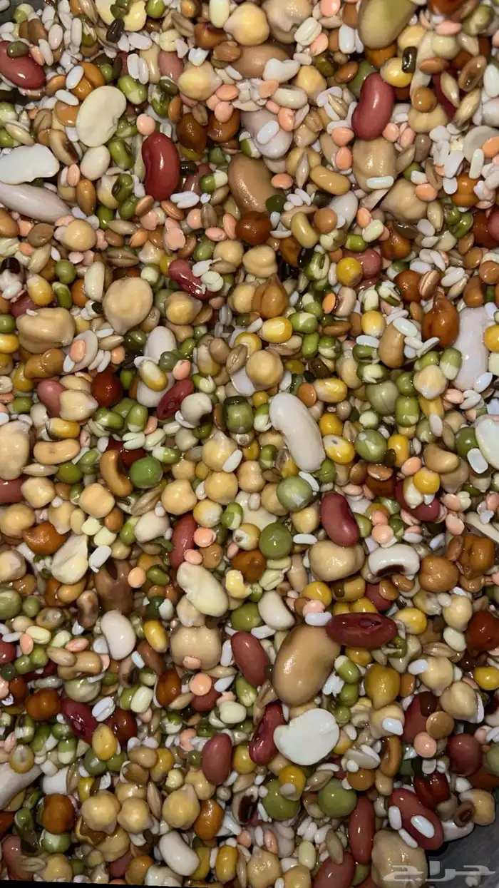 منقوع مشكل 1