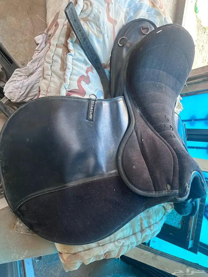 سرج ستيتوس وشكائم للبيع مستعجل 1