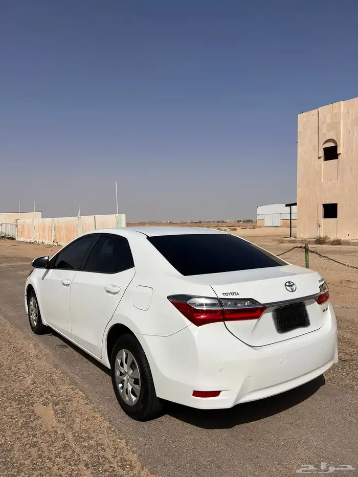 كورلا 2019 ( تم البيع ) 0