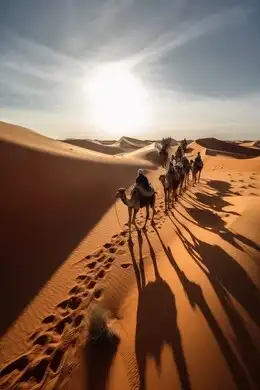 البحث عن الحلال المفقود 0