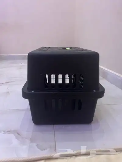حقيبت قطط 1