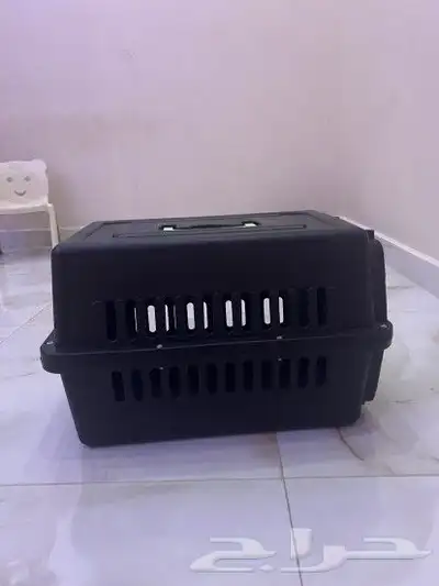 حقيبت قطط 2