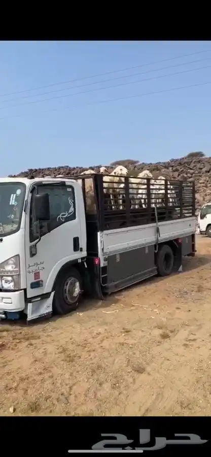 دنه دينه تحميل حبحب اغنام اعلاف 0