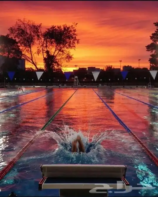 تدريب وتعلم السباحة بأبسط الطرق وتعلم السباحة في فترة ممتازة 3