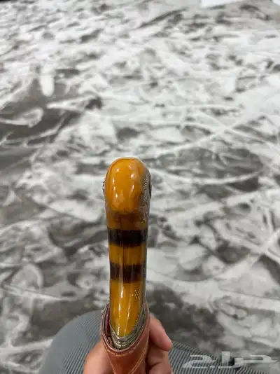 جنبيه قديمه كفو 2