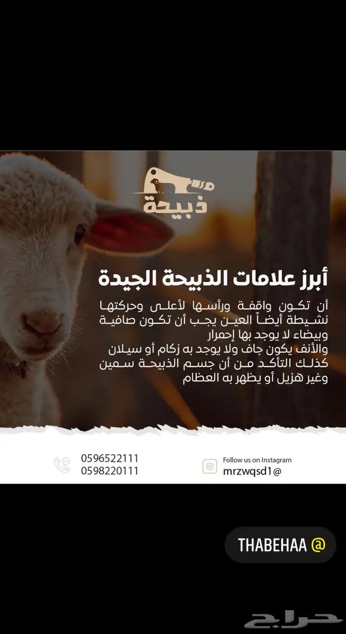 متجر ذبيحة 73