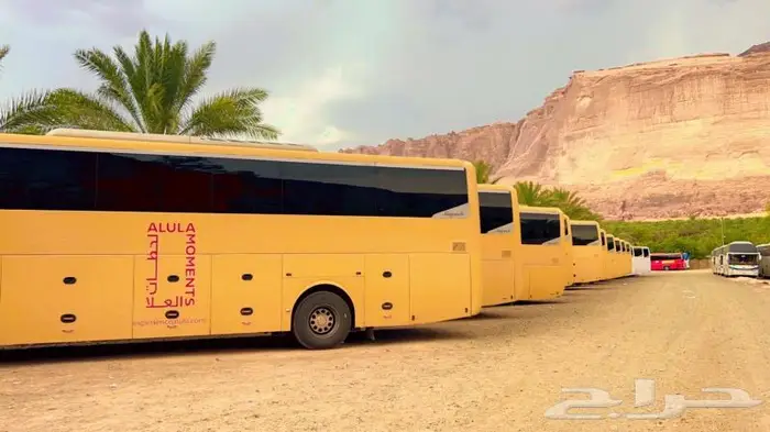 خدمات التشغيل ( باصات للإيجار ) 0
