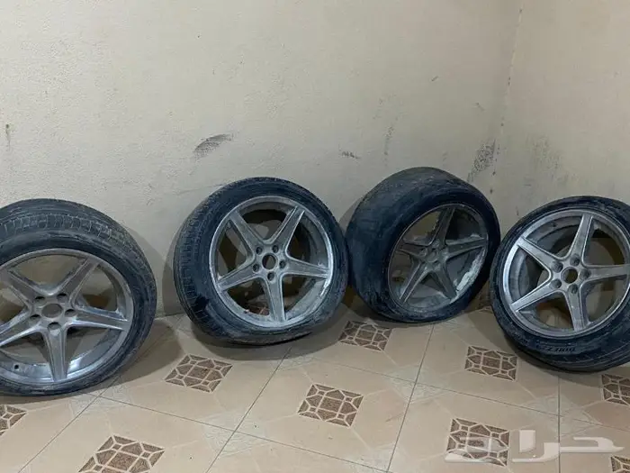 جنوط موستنق 0