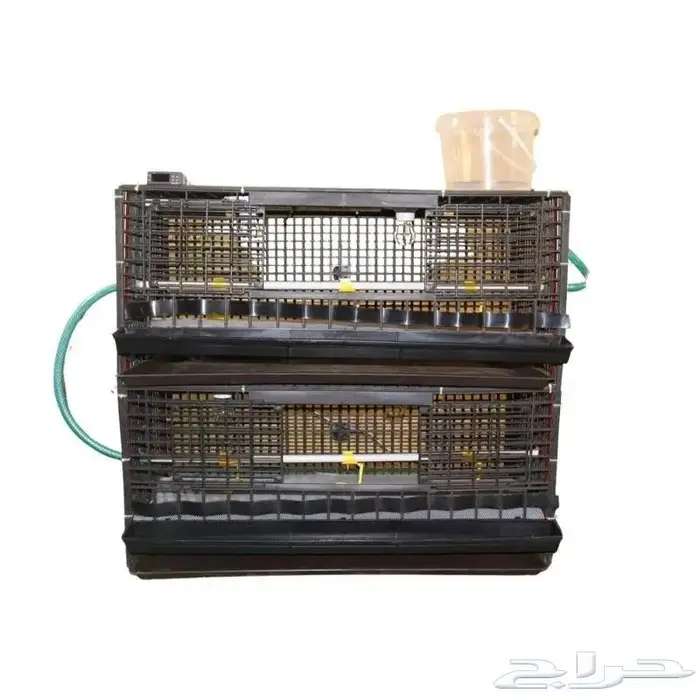 حاضنة فروخ اوتوماتيك 4