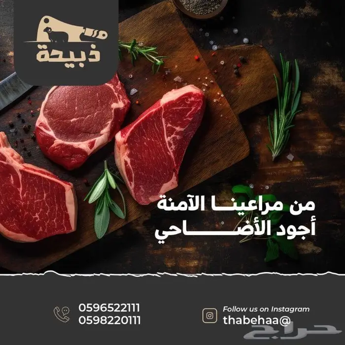 متجر ذبيحة 51